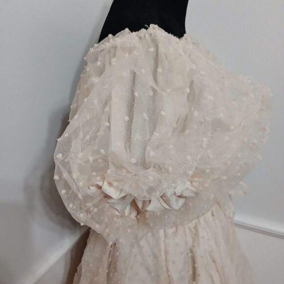 Women's Champagne Swiss Dot Puff Sleeve Babydoll Mini Dress Size L New - Picture 4 of 8